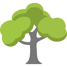 Hopkins Tree Removal