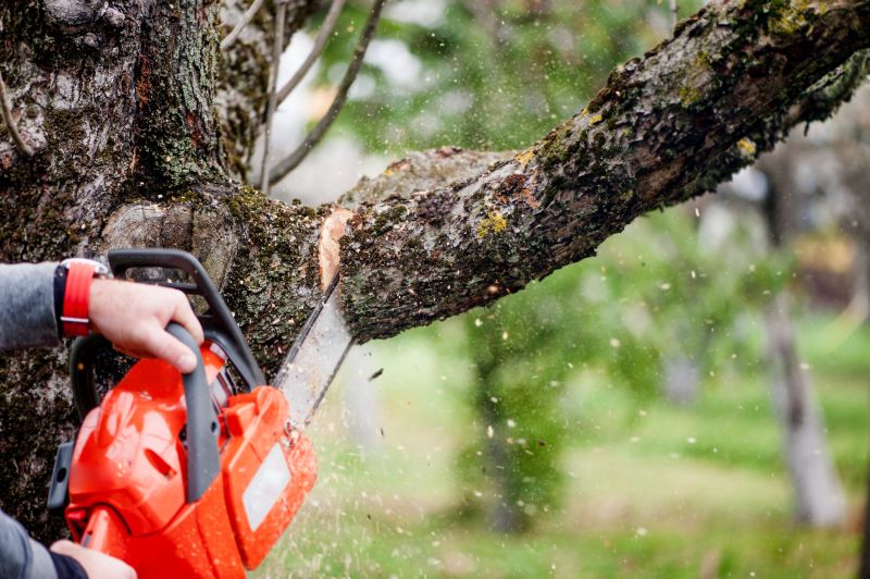 Products For Tree Removals in use