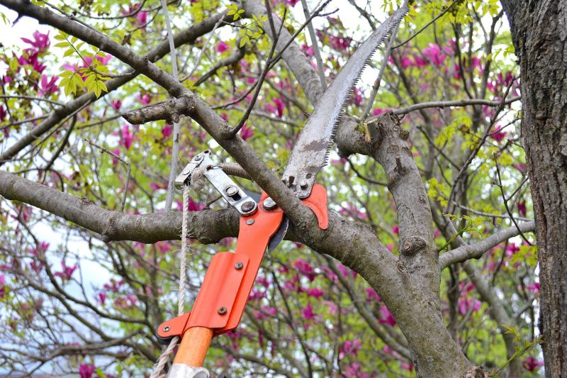 Tree Care Tools